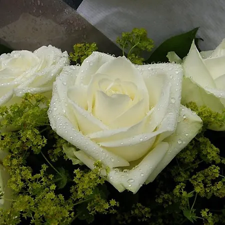 Chateau Labistoul Campes