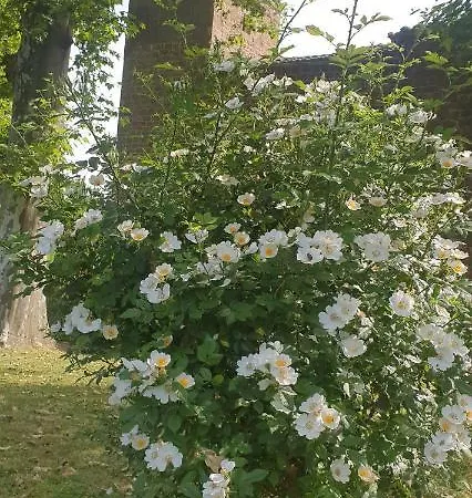 Pensión Chateau Labistoul