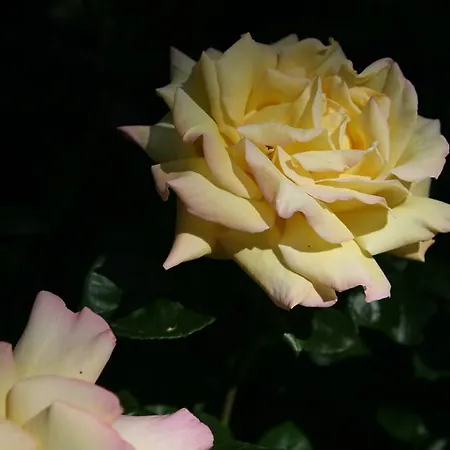 Chateau Labistoul Campes