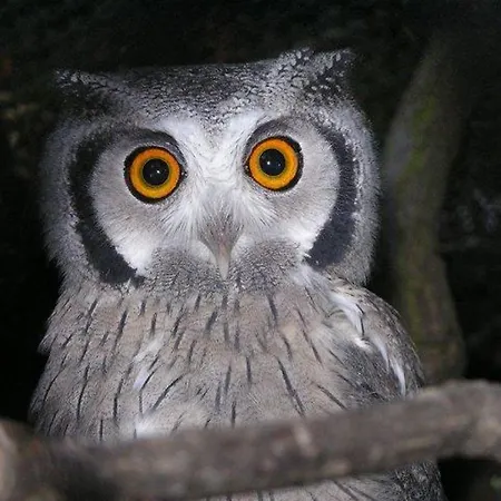 Penzion Chateau Labistoul 4*