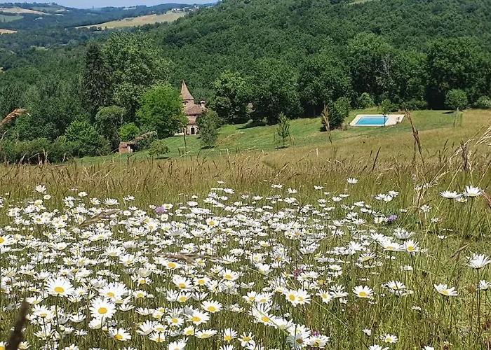 Casa de hóspedes Château Labistoul 4*
