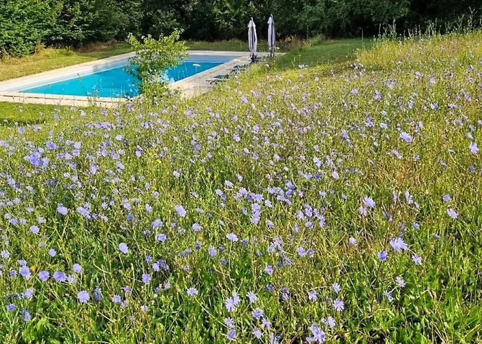 Casa de hóspedes Château Labistoul 4*