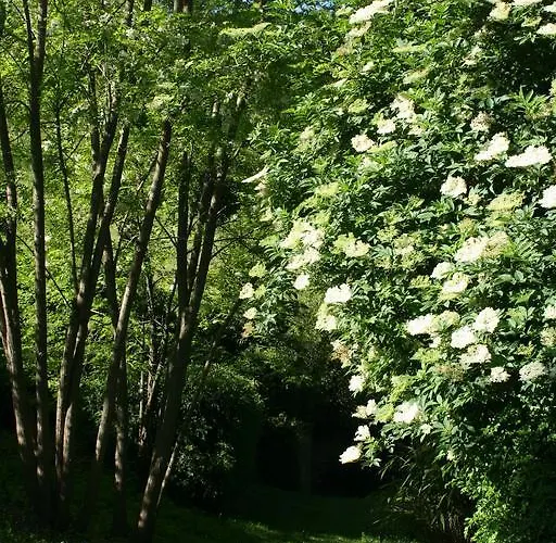 Casa de hóspedes Château Labistoul Campes