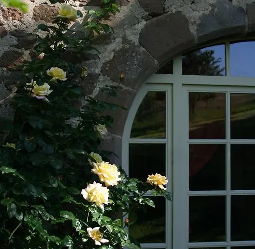 Casa de hóspedes Château Labistoul Campes