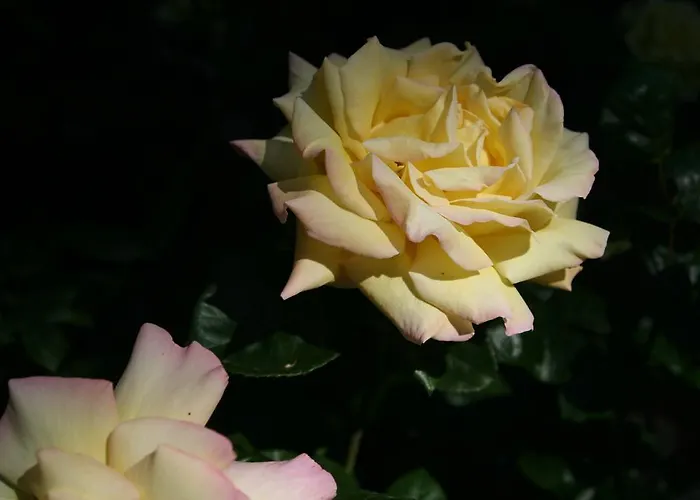 Château Labistoul Campes