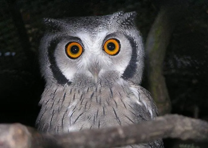 Casa de hóspedes Château Labistoul 4*