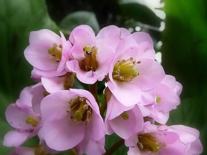 Casa de hóspedes Château Labistoul