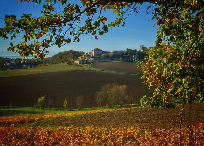 Casa de hóspedes Château Labistoul