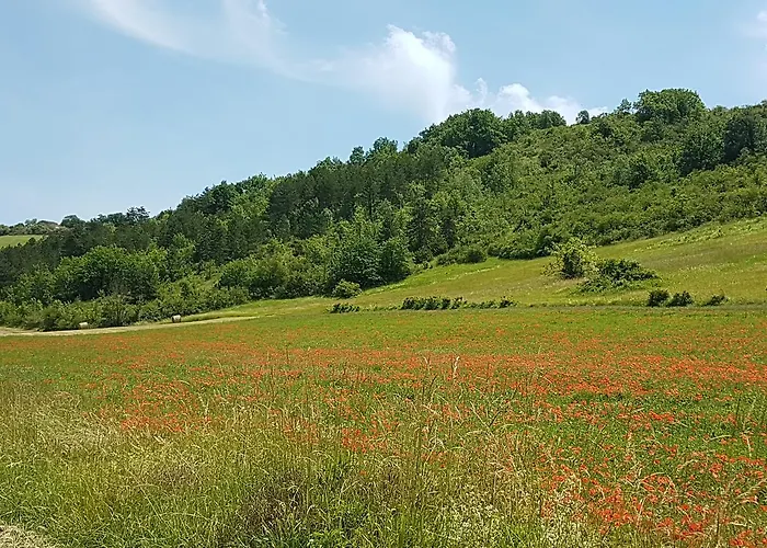 Château Labistoul 4*
