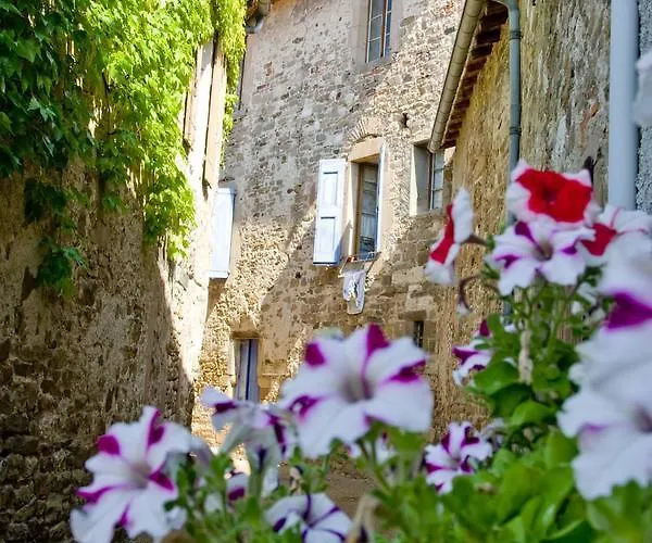 Château Labistoul Casa de hóspedes Campes