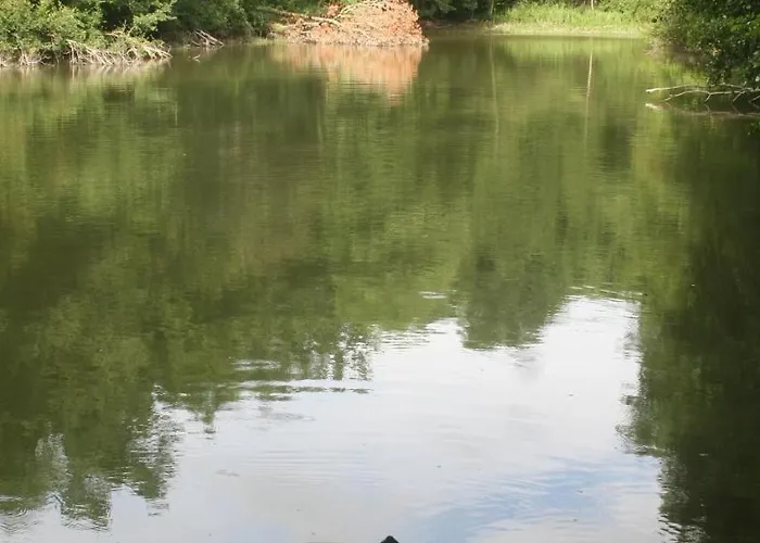 Casa de hóspedes Château Labistoul 4*