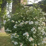 Gasthuis Chateau Labistoul