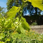 Chateau Labistoul Campes