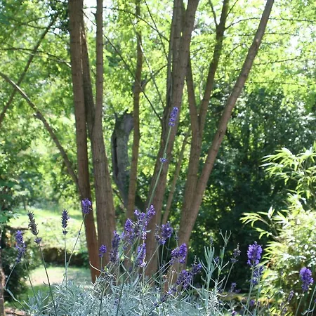 게스트하우스 Chateau Labistoul 4*