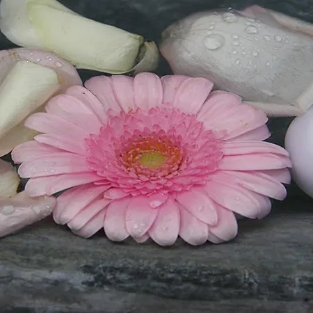 Chateau Labistoul 게스트하우스