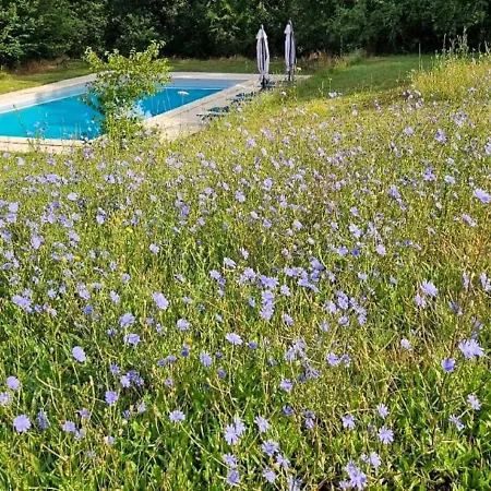 בית הארחה Chateau Labistoul 4*