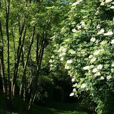 Guest house Chateau Labistoul Campes