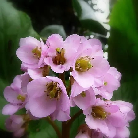 ゲストハウス Chateau Labistoul