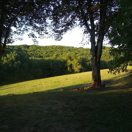 Chateau Labistoul 4* Campes