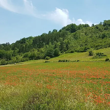 Chateau Labistoul 4*